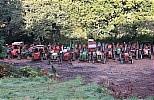 Gweek - Vintage tractors